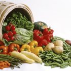 Los productos de la huerta del sureste español son muy valorados por los consumidores europeos.