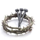 Detalle de la portada del libro.