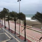 Fuertes rachas de viento en la jornada de hoy. Vista general del Paseo Marítimo.