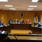 Concejales  votando a favor del convenio con la Junta para el futuro hospital en el Pleno de este jueves.