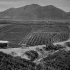 Estados Unidos trasladó a centenares de soldados a Palomares tras el accidente. 