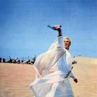 ‘Lawrence de Arabia’, de David Lean (1962), triunfa como mejor película rodada en Almería con 56 votos sobre 65 posibles.