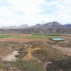 Zona de la reserva de la tortuga mora.