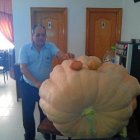 Una calabaza de 280 kilos en Tíjola 
