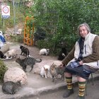 Lola junto a sus gatos