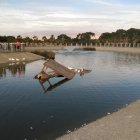Una de las casetas para los patos y las tortugas se ha caído y todo el corcho blanco del suelo se ha deshecho en el agua.