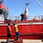 Pescadores del barco Gabriela y María, ayer a mediodía en el puerto de Carboneras desembarcando el primero de los 20 atunes rojos que pescaron en el 