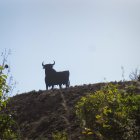 El Toro de Osborne en Benahadux.