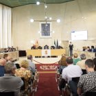 Vista general del salón de plenos.