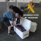 Imagen de la actuación de la Guardia Civil.