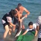 El animal se encuentra herido pero a salvo.