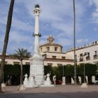 La Junta afirma que se tienen que mantener los árboles de la Plaza Vieja.
