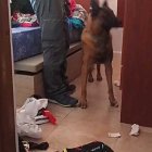 Imagen del registro de la vivienda por parte de la Guardia Civil.