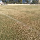 Aspecto del campo de la Vega este martes.