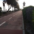 Estado del carril bici en el Paseo de Ribera, a escasos metros del campus de la Universidad de Almería en La Cañada.