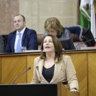 Carmen Crespo, en el debate de investidura.