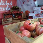 Stand de CASI en el Paseo de Almería
