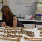 La antropóloga Sofía Zdral estudiando uno de los esqueletos hallados en Macael.