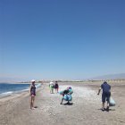 Limpieza de playa por internos.