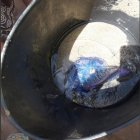 La carabela portuguesa fue retirada del agua. Imagen de José Miguel Portaña López