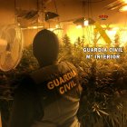 La plantación de la vivienda ocupada / Comandancia de la Guardia Civil