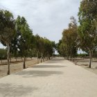 Camino principal del parque