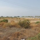 Parcela que hay al lado del CN Almería y donde iría también la Ciudad Deportiva.
