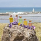 Los ambientadores de Aromas de Andalucía en el Cabo de Gata.