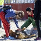 Almería quiere ser una ciudad libre de circos con animales salvajes.