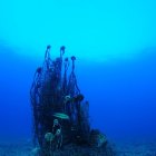 Imagen de archivo de vertidos en el mar.