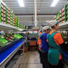 Mejorará el sistema de control de la productividad.