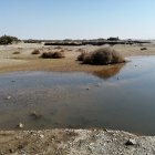 Laguna que se ha formado con basura y mosquitos.