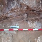 Restos hallados en la necrópolis existente en Macael Viejo.