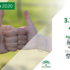 Documentación entregada por la Junta.