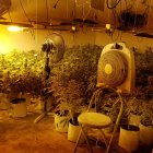 Cultivo hidropónico de marihuana desmantelado en Almería.