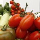 El campo saldrá a la calle.