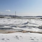Los invernaderos de Níjar, afectados por la sorprendente granizada.