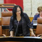 Luz Belinda Rodríguez, fotografiada en uno de los plenos celebrados en el Parlamento de Andalucía en esta legislatura.