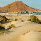 Dunas de arena en la playa de Los Genoveses.