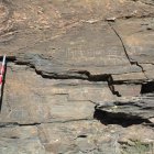 Grabados rupestres localizados por los agentes