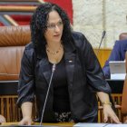 Luz Belinda Rodríguez, en el Parlamento Andaluz.