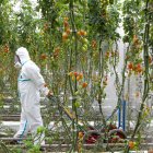 Un agricultor con su equipo de protección individual completo.