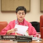 Arancha González Laya ha informado sobre los respiradores de Turquía.