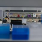 La pandemia fue declarada hace unas semanas.