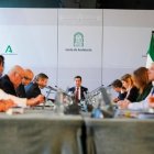 Ayudas de la Junta al alquiler, autónomos y familias no tendrán fiscalización previa en el estado de alarma