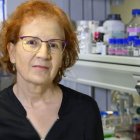 Del Val coordina 150 equipos de investigación sobre el coronavirus.