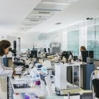 El número de casos aumenta en España.