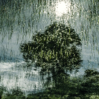 Los árboles y su reflejo en la serie Memoria de una futuro incierto.