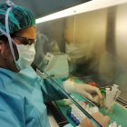 El ensayo clínico aún está en fase de reclutamiento y durará unos cuatro meses.