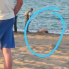 Detalle de la foto del cuerpo que corre por las redes sociales del Levante.